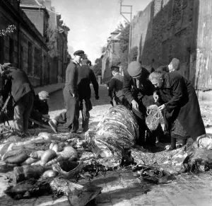 War Victims Prints: Hungary civilians butcher a dead horse on a street of Saint-Quentin