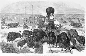 Images Dated 4th November 2008: Hunters shooting at a herd of bison from a train and along the tracks