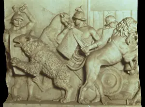 Cast Prints: Hunting scene against a Lion, plaster cast of an original in marble - Italy