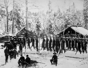 Hunters Prints: Hunting for wild game is a World War I method of conservation employed in Northern Michigan