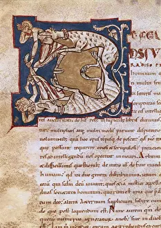 Theological Prints: Illuminated initial. 12th c. It belongs to a copy of the work by St
