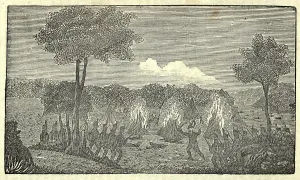 Louisiana Purchase Prints: Illustration of Lewis and Clark's expedition from 1803-6