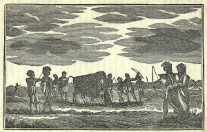 Arrows Prints: Illustration from Lewis and Clark's journal of the expedition from 1803-6