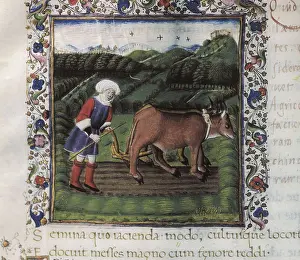 Lombardia Prints: Illustration of 'The Georgics' by Virgil