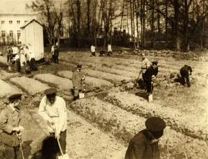 Imprisoned Prints: Imprisoned Russian Czar Nicholas II and family gardening at Tsarskoe-Selo
