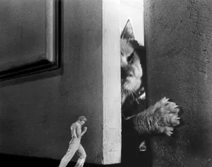 Images Dated 28th March 2007: THE INCREDIBLE SHRINKING MAN, Grant Williams, 1957