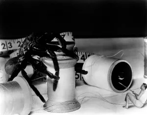 2002 Prints: THE INCREDIBLE SHRINKING MAN, Grant Williams, 1957