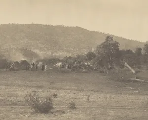 Dwelling Prints: INDIAN CAMP-BEAR VALLEY, 1860, by Carleton Watkins
