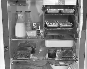Cheese Prints: Interior of a 1940's refrigerator