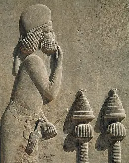 Persians Prints: IRAN. Persepolis. Palace of Darius