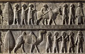 Kidney Stone Prints: IRAN. Persepolis. Palace of Darius