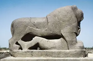 Iraqis Prints: IRAQ. Babylon. Lyon of Babylon sculpted in basalt