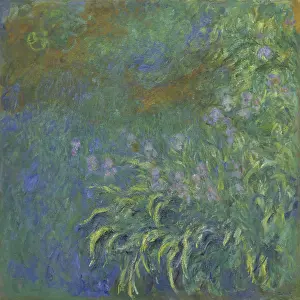 Garden Prints: Irises, 1914-1926, by Claude Monet