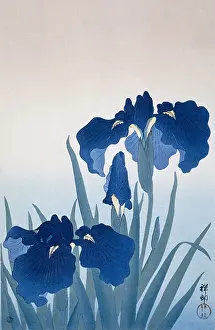 Japan Prints: Irises, by Ohara Koson and Watanabe Shozaburo