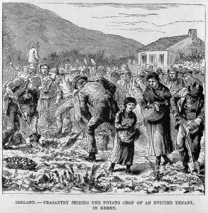 Peasants Prints: Irish Peasants seizing the potato crop of an evicted tenant