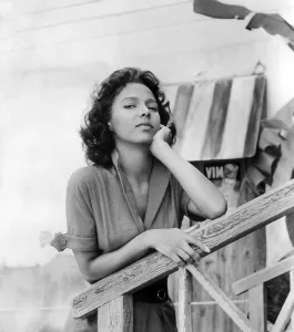 Images Dated 25th July 2005: ISLAND IN THE SUN, Dorothy Dandridge