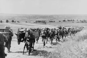 Lcgr1406 Prints: Italian expeditionary troops and artillery march to the Eastern front during World War 2