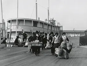 Italians Prints: Italian immigrants landing at Ellis Island, c. 1892-1910
