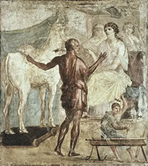 Bovine Prints: ITALY. Pompeii. House of the Vettii