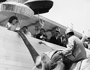 Royalty Prints: Jacqueline Kennedy (left) jumps in amazement as a royal elephant extends his trunk