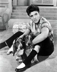 Two Tone Shoes Prints: JAILHOUSE ROCK, Elvis Presley, 1957
