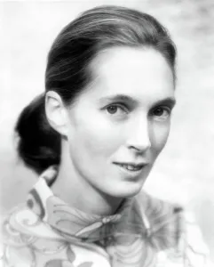 Goodall Prints: Jane Goodall. Courtesy: CSU Archives / Everett Collection