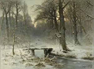 Frozen Prints: A January Evening in the Woods of The Hague