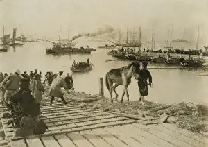 Port Prints: Japanese landing pack ponies at Chemulpo (Inchon)