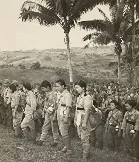 Palm Trees Prints: Japanese nurses and soldiers surrendering to Americans on Cebu Island