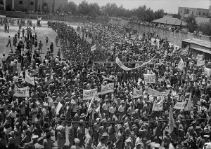 Lcgr1308 Prints: Jewish protest against Palestine White Paper