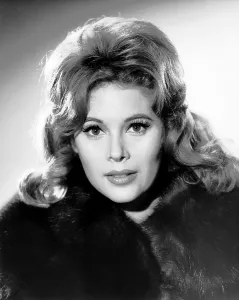 1960s Hairstyles Prints: Jill St. John, ca. mid-1960s