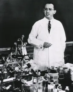Physicians Prints: Jonas E. Salk (1914-1995), American developer of the first polio vaccine