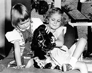 Speeches Prints: Julie and Tricia Nixon playing with their cocker spaniel, Checkers