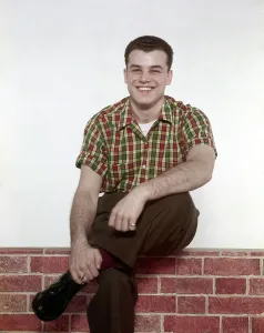 Plaid Shirt Prints: Julius Larosa, 1950