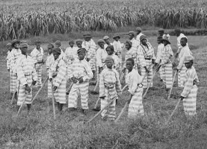 Forced Labor Prints: Juvenile convicts at work in the fields in Southern chain gang
