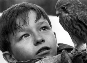 Bradley Prints: KES, David Bradley, 1969