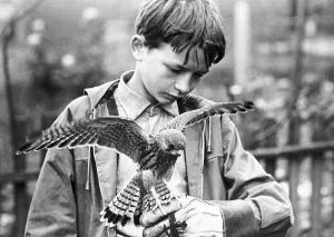 Trending: KES, David Bradley, 1969