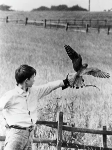 Trending: KES, David Bradley, 1969
