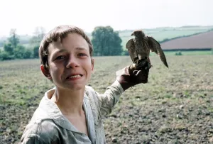 Jsib Prints: KES, David Bradley, 1969 kes1969-fsct02(kes1969-fsct02)