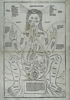 Complaints Prints: KETHAM, Johannes de (second half 15th century-begin 16th)