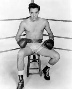 Images Dated 9th March 2012: KID GALAHAD, Elvis Presley, 1962