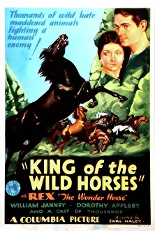 Janney Prints: KING OF THE WILD HORSES, from left: Rex the Wonder Horse