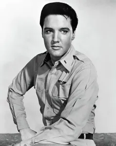 Zast Prints: KISSIN COUSINS, Elvis Presley, 1964