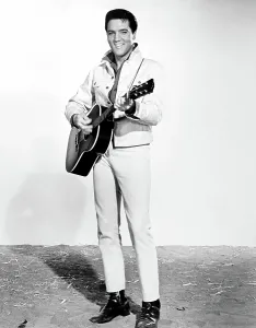 Zast Prints: KISSIN COUSINS, Elvis Presley, 1964