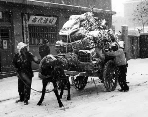 Seoul Prints: Korean War: Civilians loading a cart with their belongings before fleeing Seoul