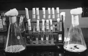 Penicillin Prints: Laboratory flasks and test tubes used in the development of Penicillin. Ca. 1940