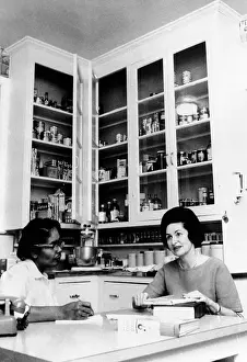Cooks Prints: Lady Bird Johnson, in the kitchen with her African American cook