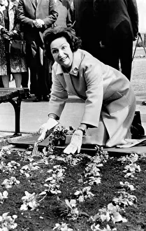 Planting Prints: Lady Bird Johnson planting pansies on the famed Capitol Mall