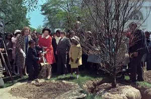 Lady Bird Prints: Lady Bird Johnson and young boy shoveling dirt during an Arbor Day Tree Planting