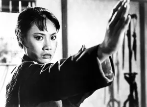 Kung Fu Prints: LADY KUNG FU, (Hapkido), Angela Mao, 1972